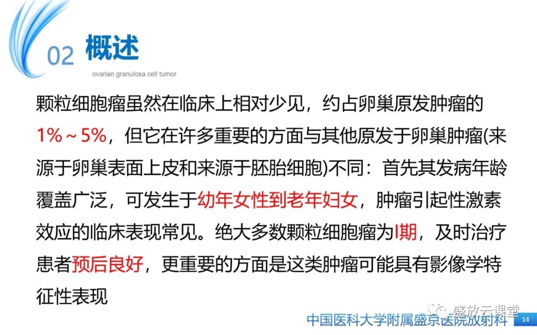 影像PPT - 【PPT】卵巢颗粒细胞瘤-13