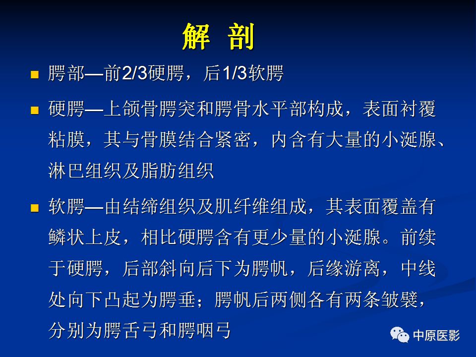 影像PPT - 【PPT】腭部常见肿瘤的影像诊断-3