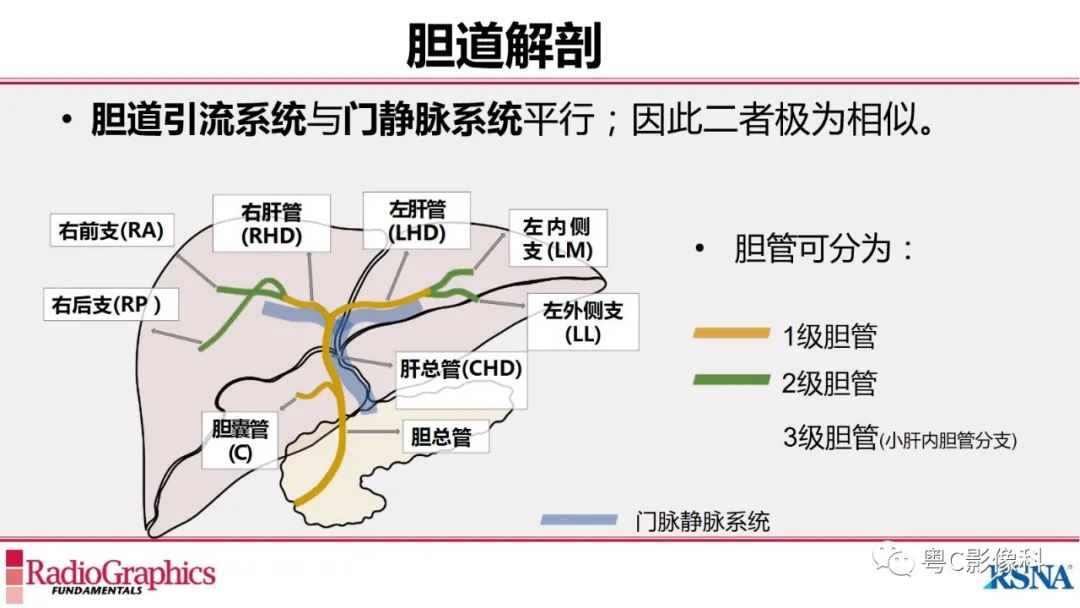 影像PPT - 【PPT】MRCP：放射医师必知-8