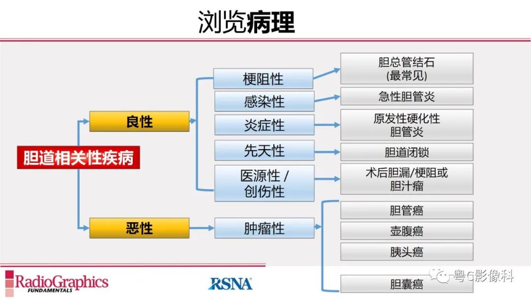 影像PPT - 【PPT】MRCP：放射医师必知-25