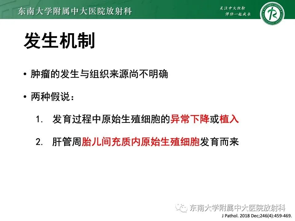 影像PPT - 【PPT】黏液性囊性肝胆肿瘤-10 影像PPT - 【PPT】黏液性囊性肝胆肿瘤-10