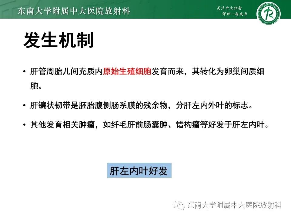 影像PPT - 【PPT】黏液性囊性肝胆肿瘤-12 影像PPT - 【PPT】黏液性囊性肝胆肿瘤-12