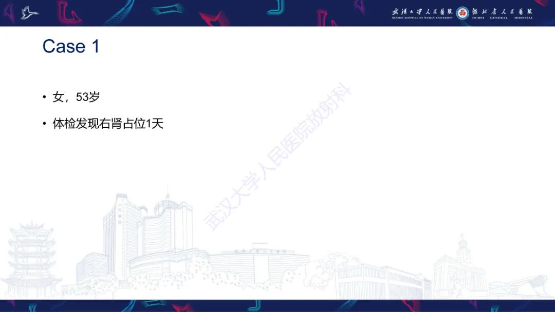 影像PPT - 【PPT】肾嫌色细胞癌影像诊断-2