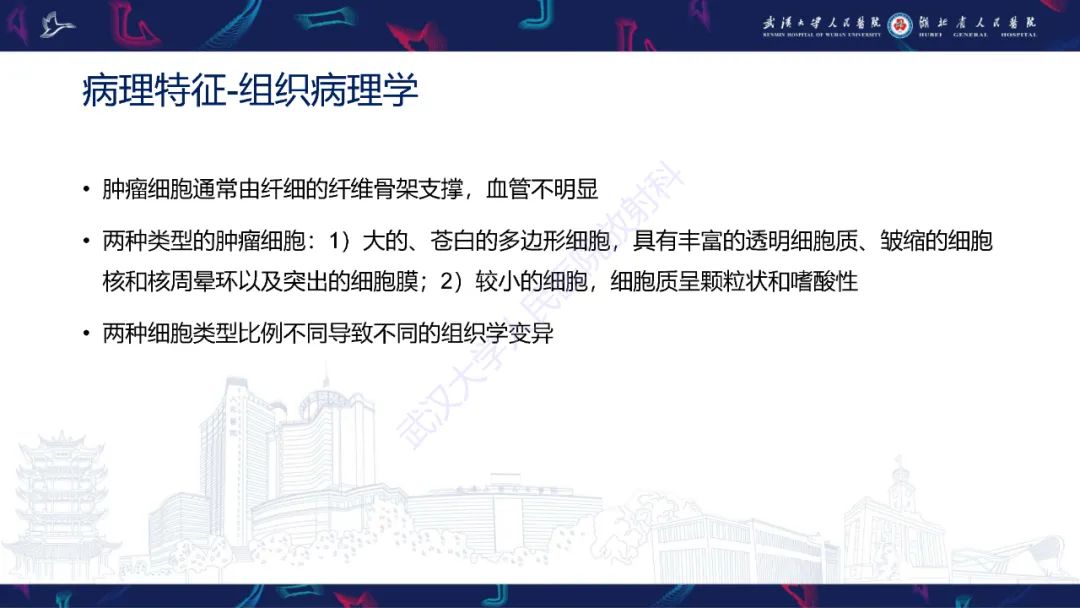 影像PPT - 【PPT】肾嫌色细胞癌影像诊断-10