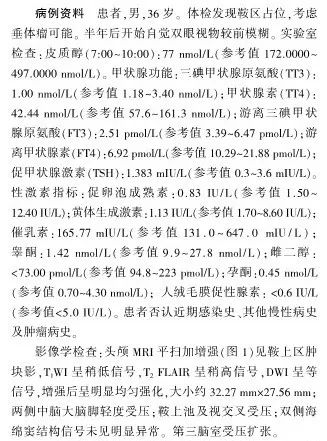 影像PPT - 【病例】垂体细胞瘤1例MR影像诊断思维-3