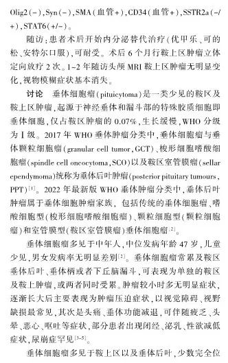 影像PPT - 【病例】垂体细胞瘤1例MR影像诊断思维-6
