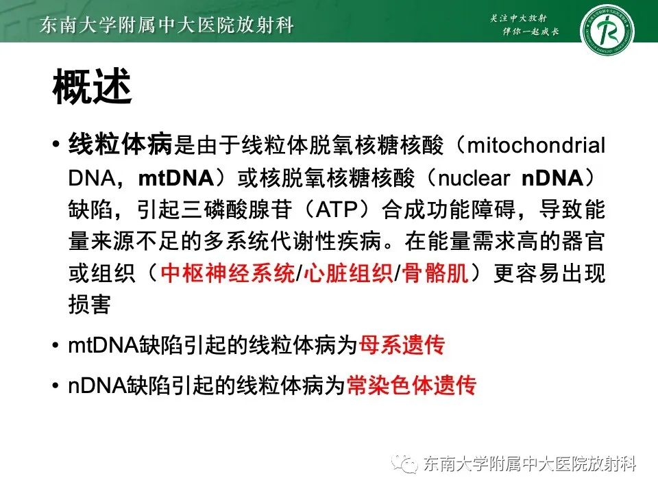 影像PPT - 【PPT】线粒体脑肌病伴高乳酸血症和卒中样发作-8