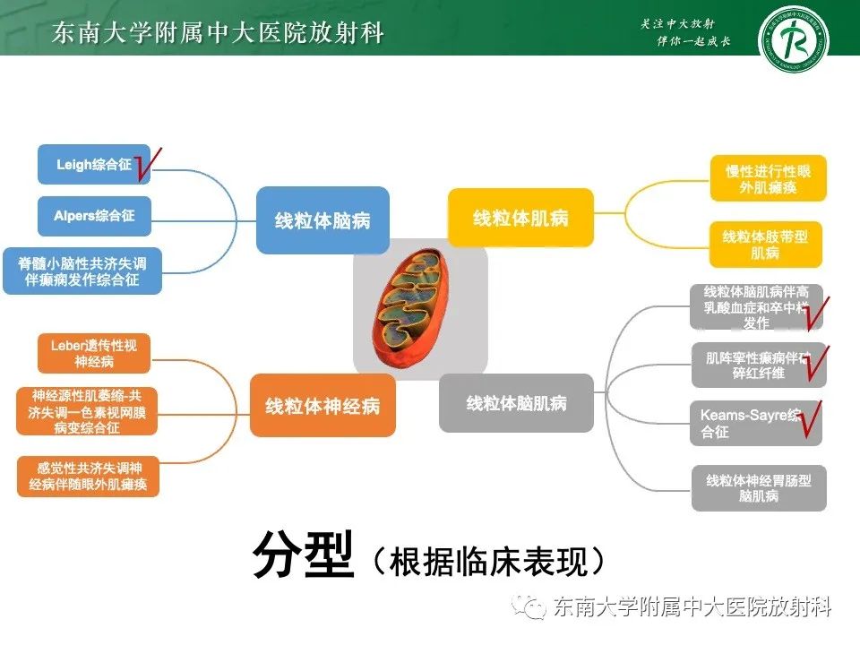 影像PPT - 【PPT】线粒体脑肌病伴高乳酸血症和卒中样发作-9