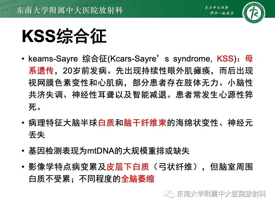 影像PPT - 【PPT】线粒体脑肌病伴高乳酸血症和卒中样发作-30