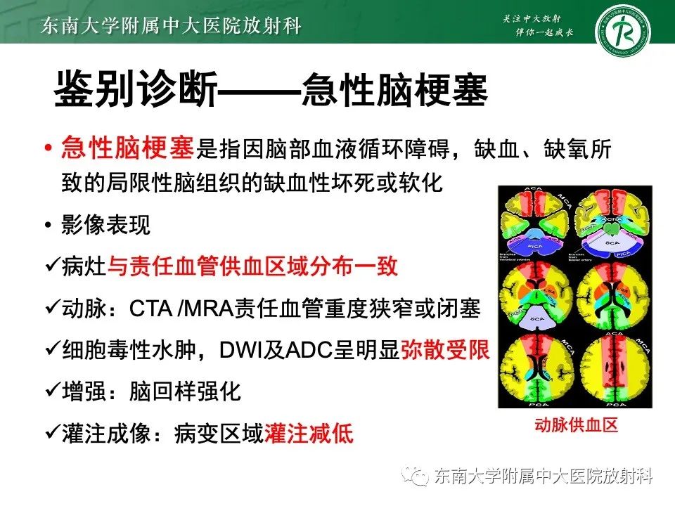 影像PPT - 【PPT】线粒体脑肌病伴高乳酸血症和卒中样发作-34