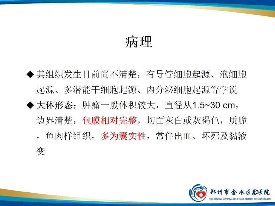 影像PPT - 【PPT】胰腺实性假乳头状瘤影像学表现-3