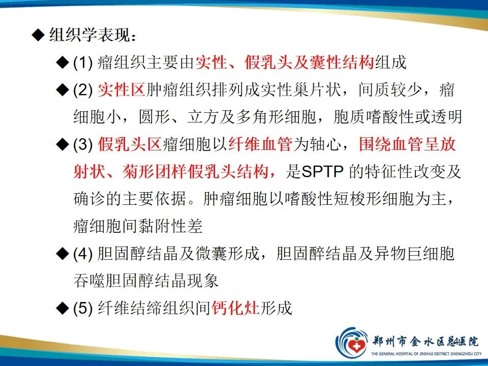 影像PPT - 【PPT】胰腺实性假乳头状瘤影像学表现-4