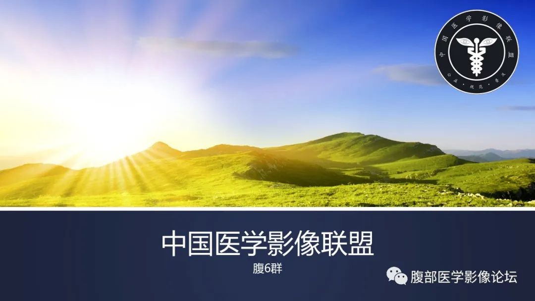 影像PPT - 【病例】肾脏血管平滑肌脂肪瘤AML一例CT-1