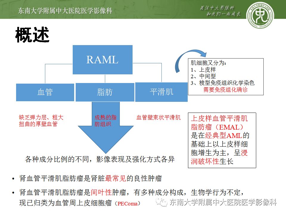 影像PPT - 【病例】肾脏血管平滑肌脂肪瘤AML一例CT-11