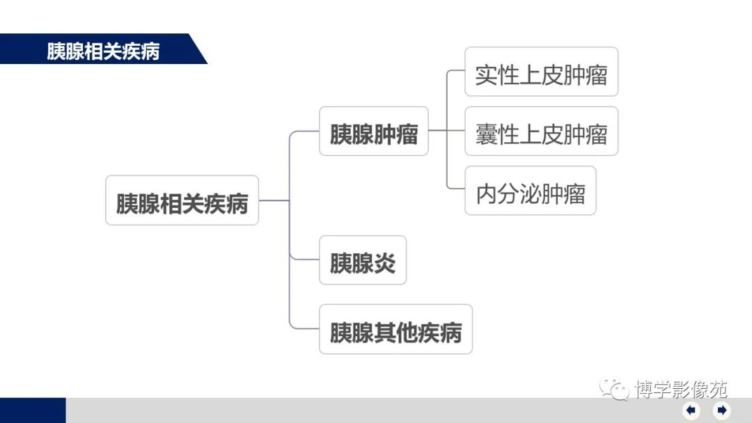 影像PPT - 【PPT】胰腺相关疾病-4