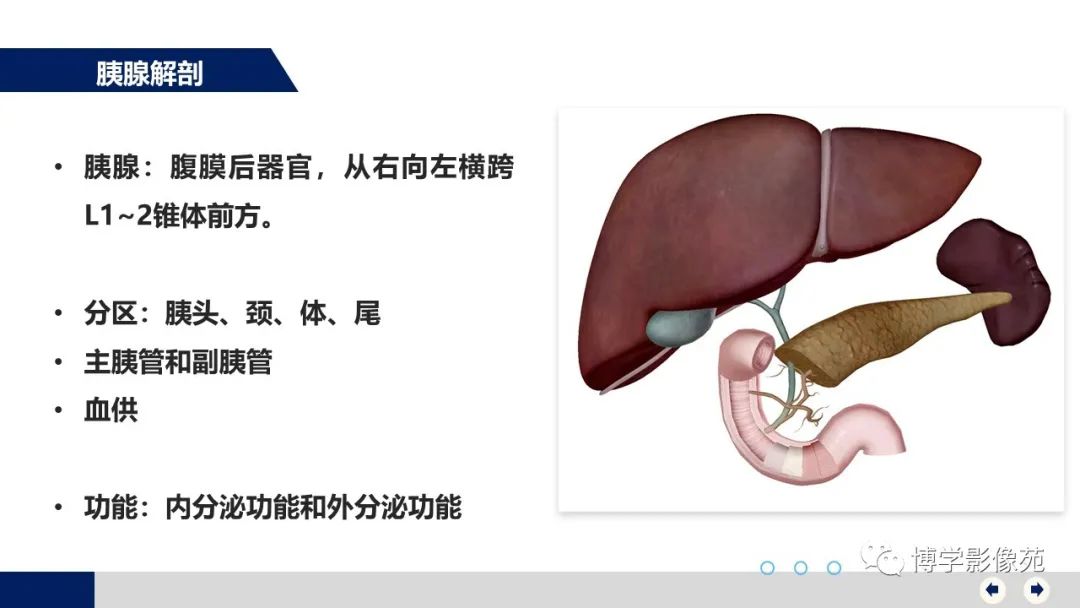 影像PPT - 【PPT】胰腺相关疾病-3