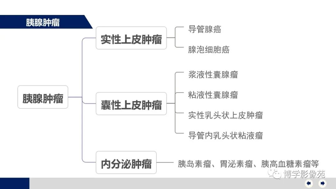 影像PPT - 【PPT】胰腺相关疾病-5