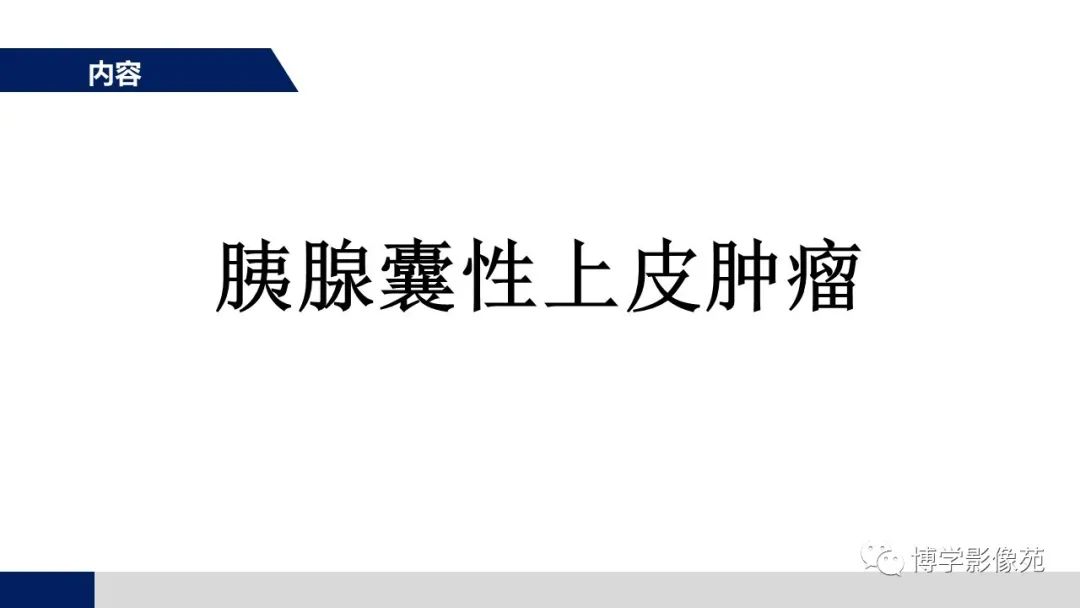 影像PPT - 【PPT】胰腺相关疾病-11