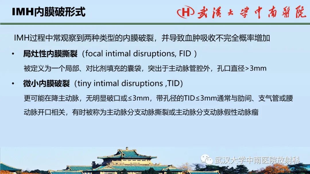 影像PPT - 【PPT】主动脉壁内血肿和穿透性溃疡的影像学诊断-12