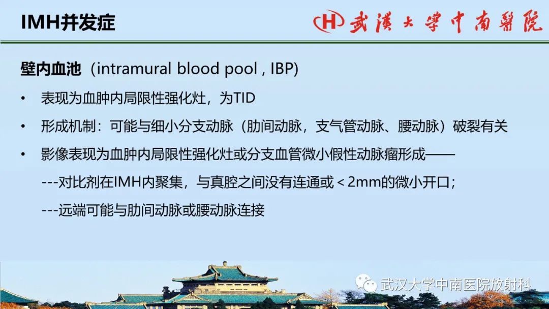 影像PPT - 【PPT】主动脉壁内血肿和穿透性溃疡的影像学诊断-23