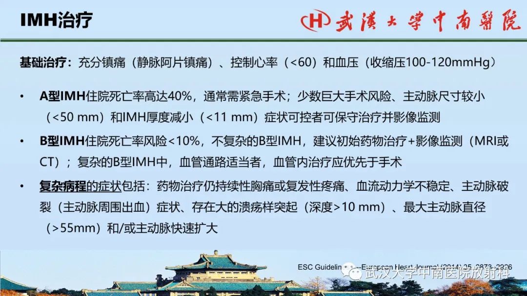 影像PPT - 【PPT】主动脉壁内血肿和穿透性溃疡的影像学诊断-30