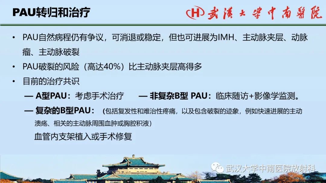 影像PPT - 【PPT】主动脉壁内血肿和穿透性溃疡的影像学诊断-39
