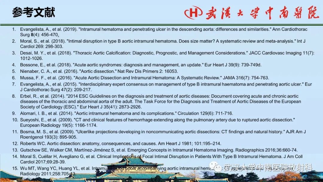 影像PPT - 【PPT】主动脉壁内血肿和穿透性溃疡的影像学诊断-47