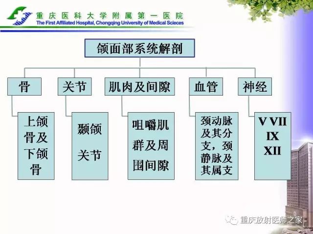 影像PPT - 【PPT】下颌骨解剖及相关疾病影像诊断-2