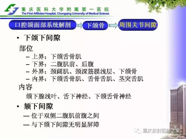 影像PPT - 【PPT】下颌骨解剖及相关疾病影像诊断-12