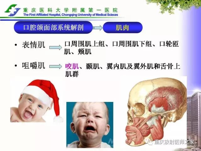影像PPT - 【PPT】下颌骨解剖及相关疾病影像诊断-15