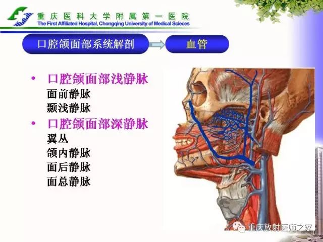 影像PPT - 【PPT】下颌骨解剖及相关疾病影像诊断-17