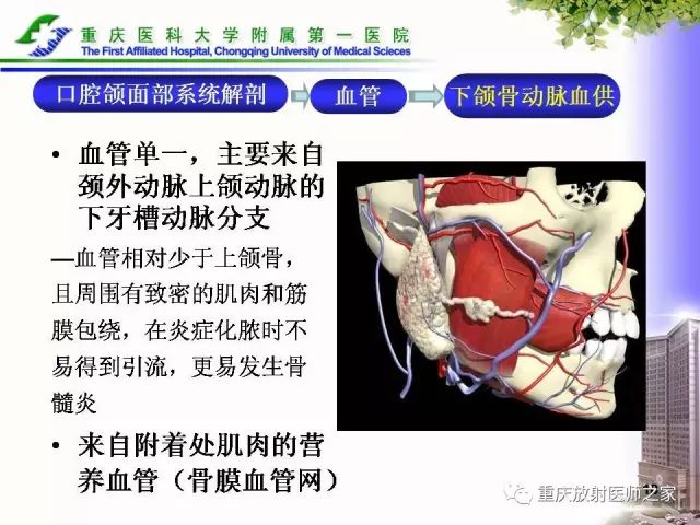 影像PPT - 【PPT】下颌骨解剖及相关疾病影像诊断-18