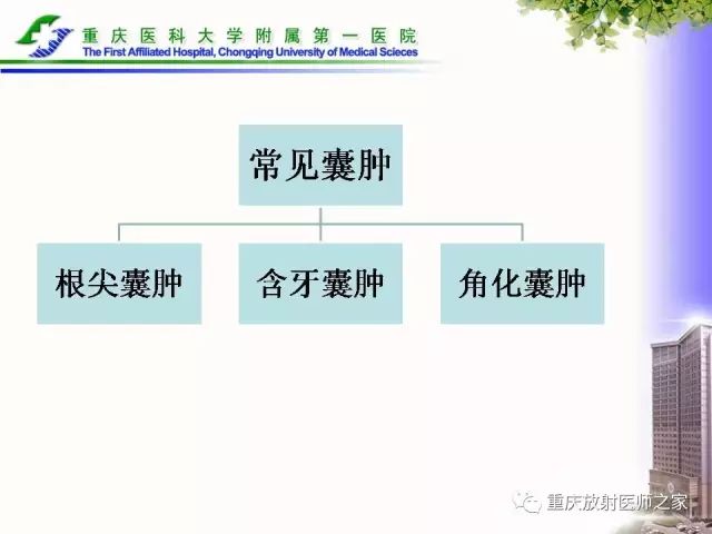 影像PPT - 【PPT】下颌骨解剖及相关疾病影像诊断-49
