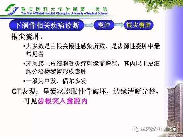 影像PPT - 【PPT】下颌骨解剖及相关疾病影像诊断-50