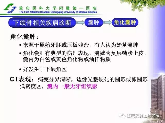 影像PPT - 【PPT】下颌骨解剖及相关疾病影像诊断-54