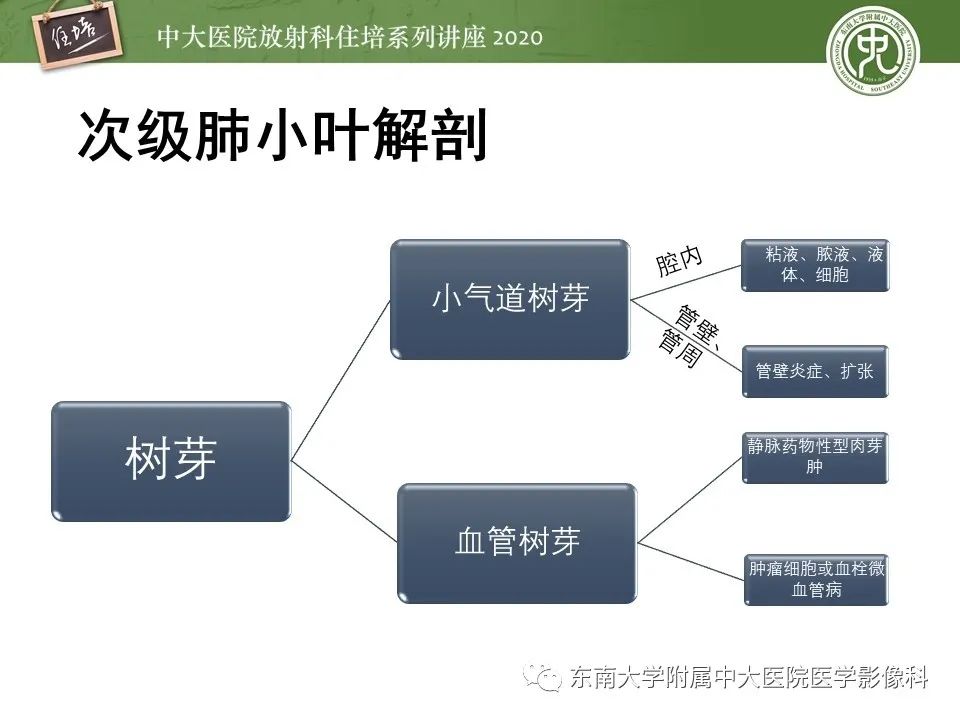 影像PPT - 【PPT】肺内常见影像征象解读 （树芽征、指套征）-7