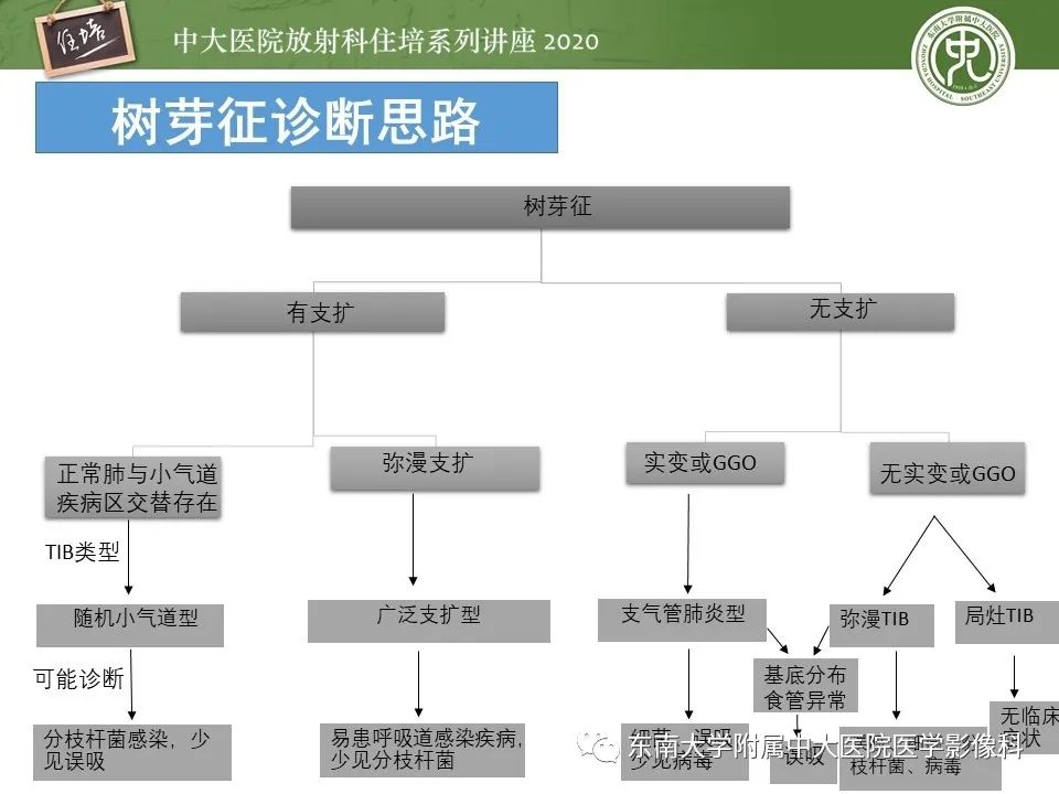影像PPT - 【PPT】肺内常见影像征象解读 （树芽征、指套征）-35