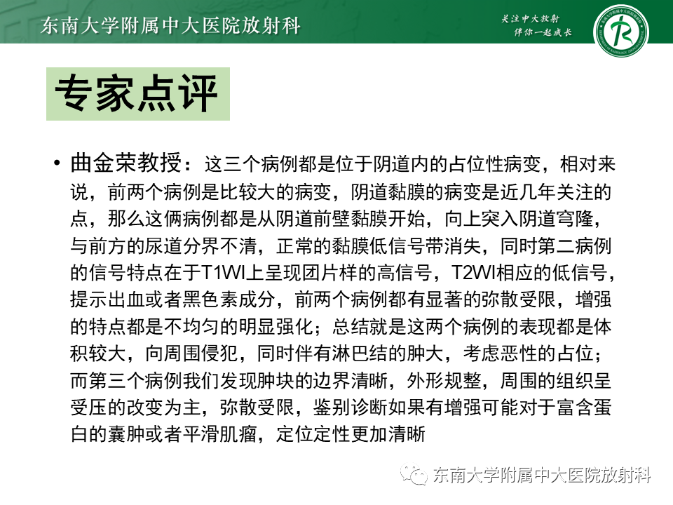 影像PPT - 【PPT】女性尿道生殖膈区占位性病变—阴道恶性肿瘤-13