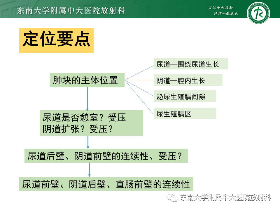 影像PPT - 【PPT】女性尿道生殖膈区占位性病变—阴道恶性肿瘤-33