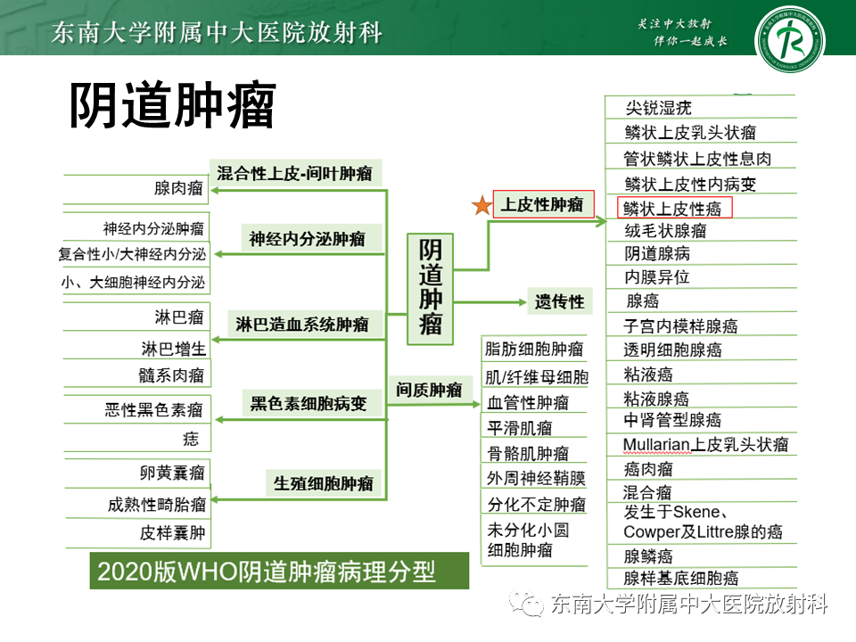 影像PPT - 【PPT】女性尿道生殖膈区占位性病变—阴道恶性肿瘤-35