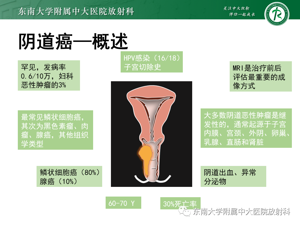 影像PPT - 【PPT】女性尿道生殖膈区占位性病变—阴道恶性肿瘤-37