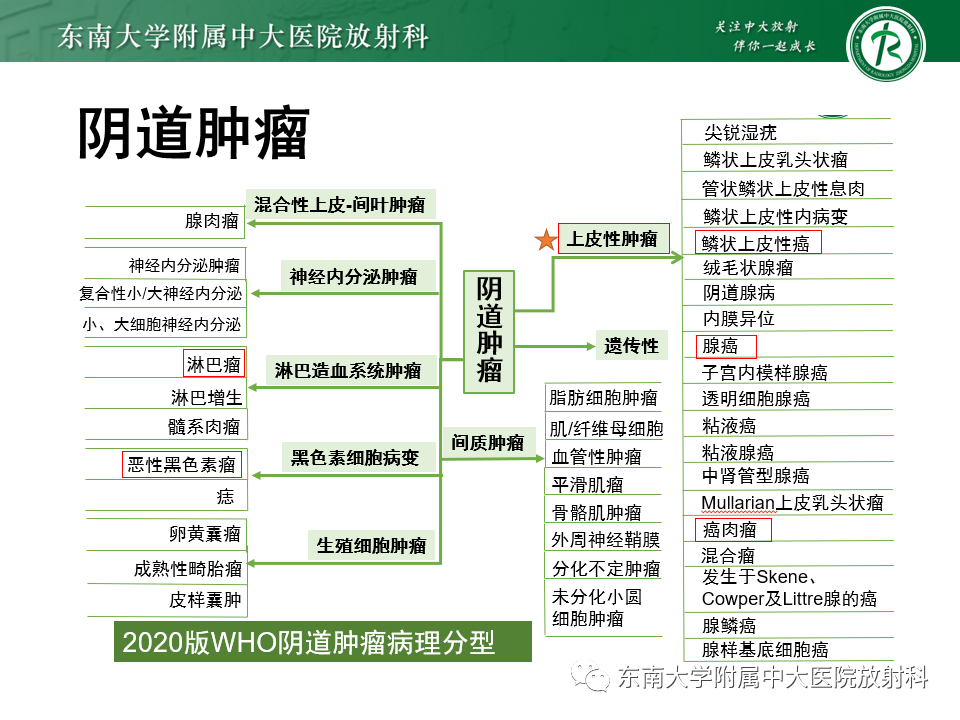 影像PPT - 【PPT】女性尿道生殖膈区占位性病变—阴道恶性肿瘤-55