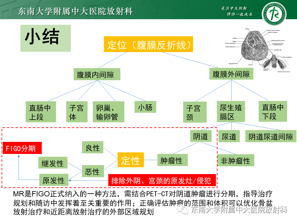 影像PPT - 【PPT】女性尿道生殖膈区占位性病变—阴道恶性肿瘤-63