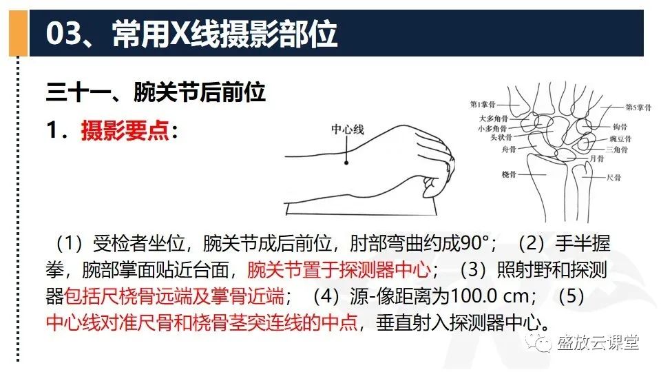 影像PPT - 【PPT】数字X线摄影检查（三）-3