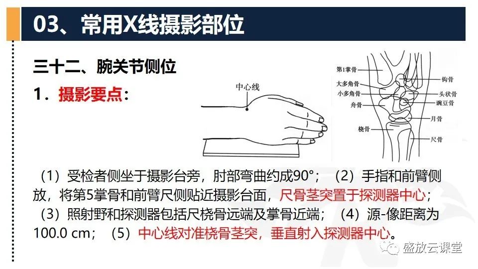 影像PPT - 【PPT】数字X线摄影检查（三）-5