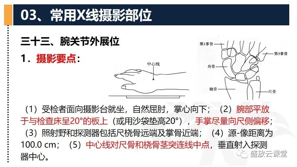 影像PPT - 【PPT】数字X线摄影检查（三）-7