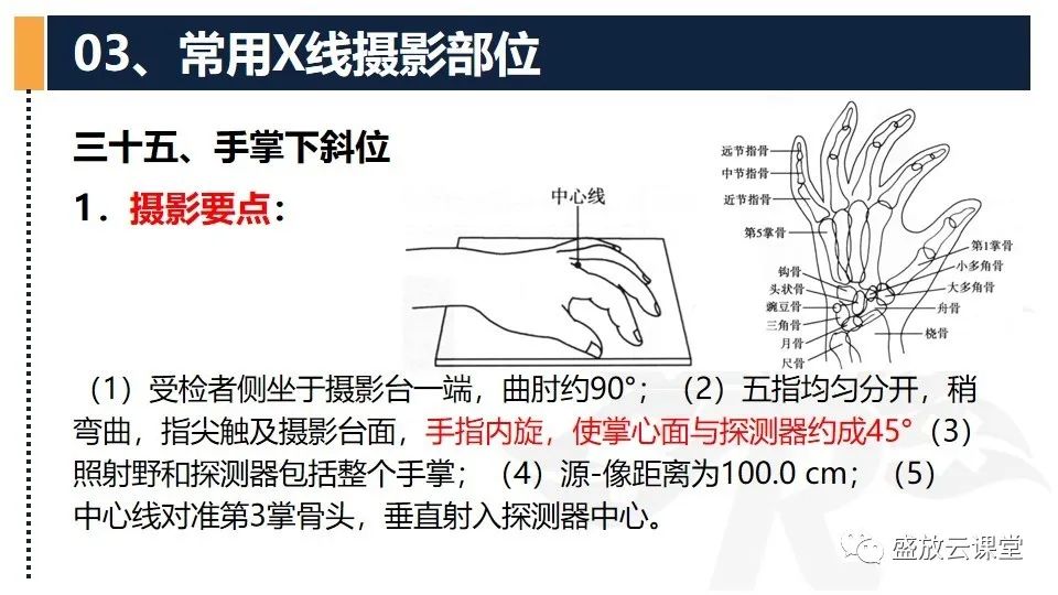 影像PPT - 【PPT】数字X线摄影检查（三）-11