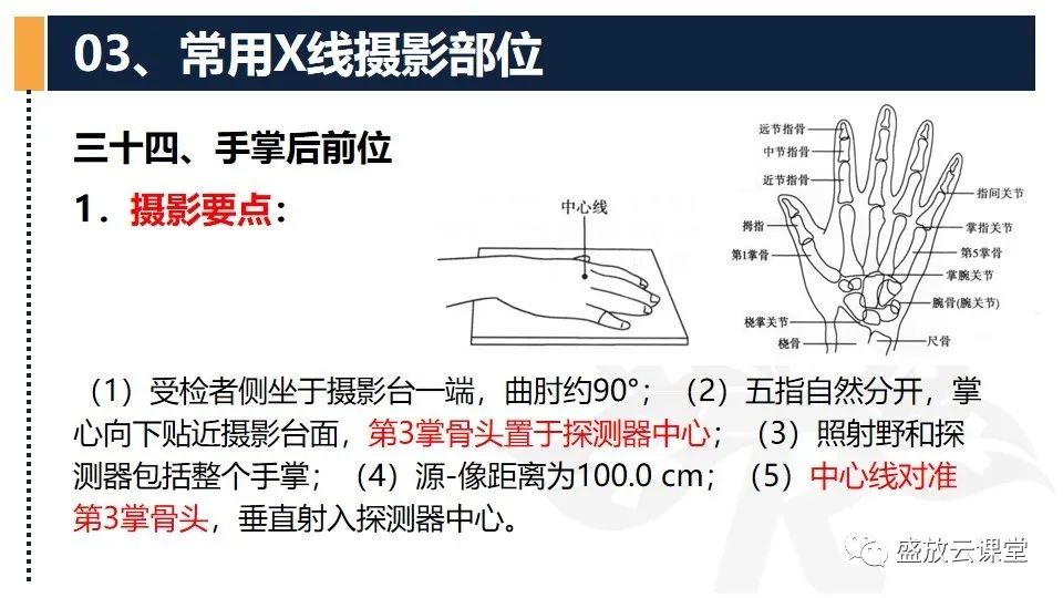 影像PPT - 【PPT】数字X线摄影检查（三）-9
