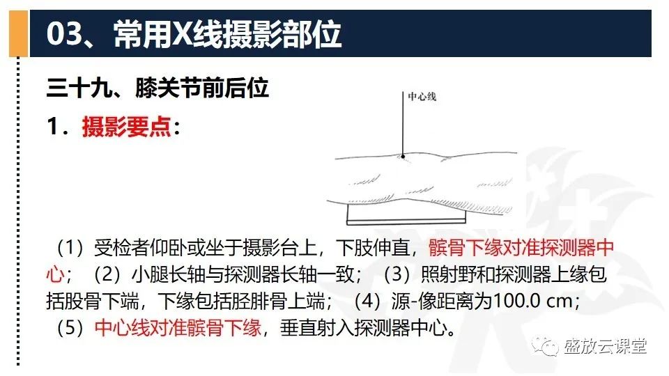 影像PPT - 【PPT】数字X线摄影检查（三）-19
