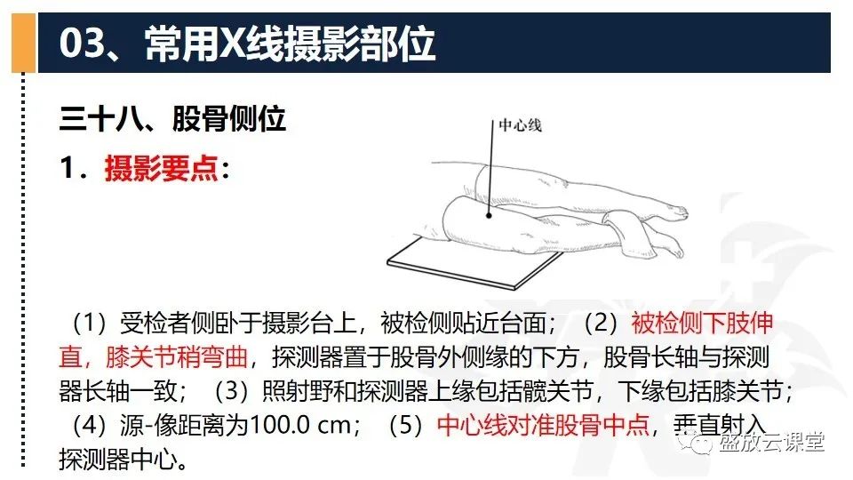 影像PPT - 【PPT】数字X线摄影检查（三）-17